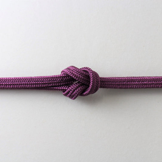 (No.134) 桑の実色