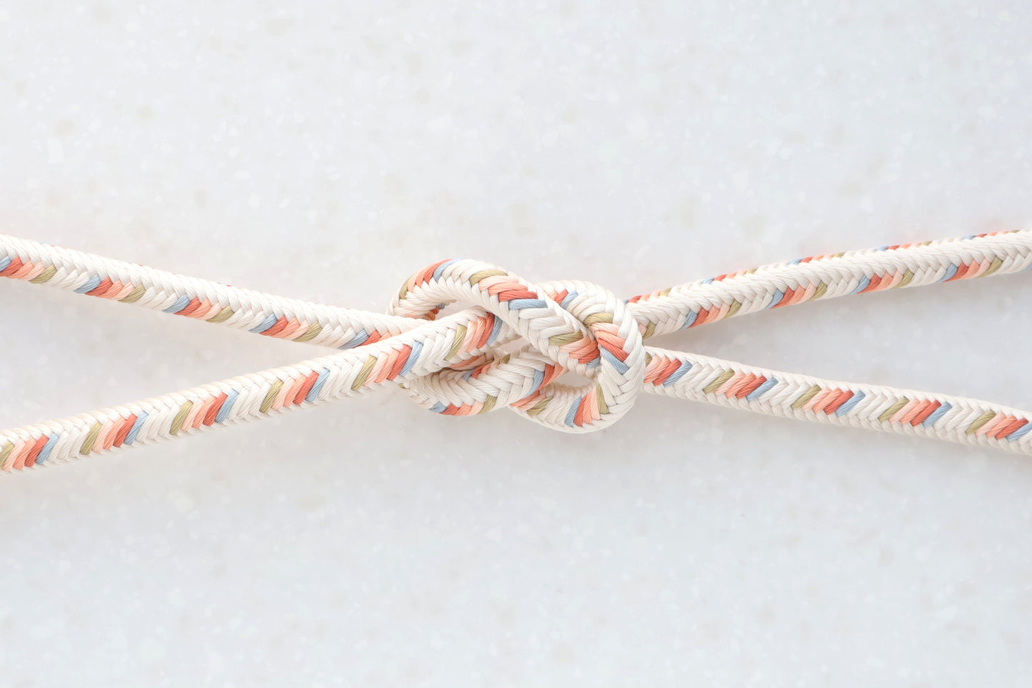 奈良組「仏眼仏母像」コンテンポラリーシリーズ 2026.1〈帯締め〉