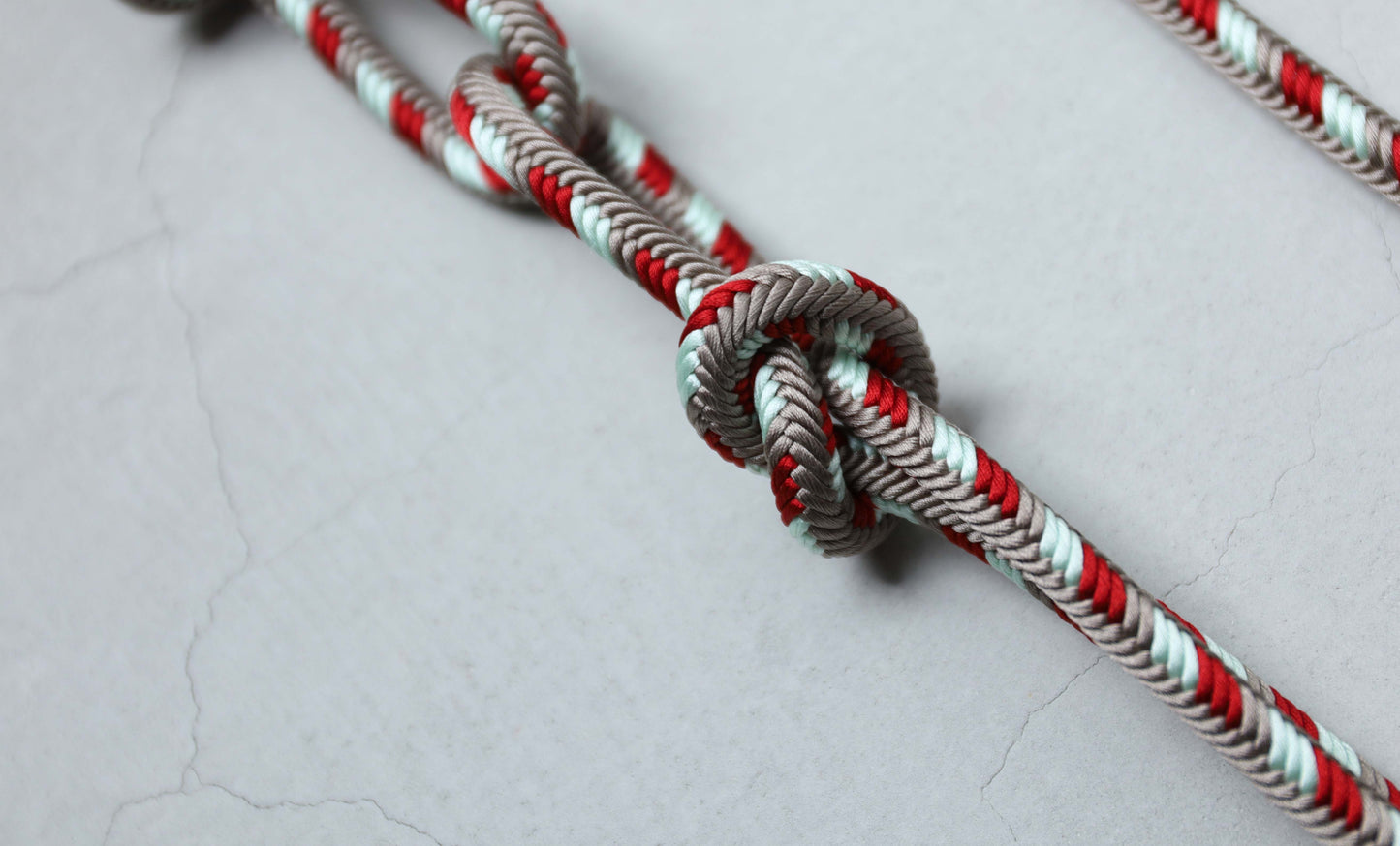 IMG_1464 (1).JPG__PID:050b2734-a6e1-42ea-b3d0-3ff321a8c6c6