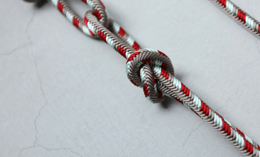 IMG_1464 (1).JPG__PID:050b2734-a6e1-42ea-b3d0-3ff321a8c6c6